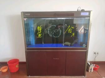 出售二手魚缸水族箱,具體信息請看詳情怎么寫廣告：【優(yōu)質(zhì)二手魚缸水族箱出售廣告宣傳語
