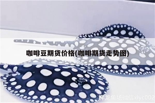 咖啡豆期貨價(jià)格(咖啡期貨走勢圖)