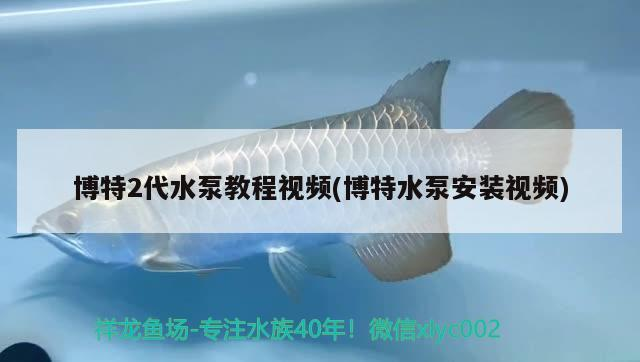 博特2代水泵教程視頻(博特水泵安裝視頻)