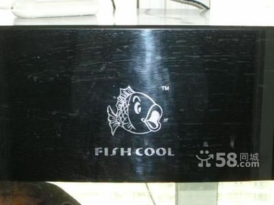 fishcool魚缸：fishcool魚缸的價格和優缺點