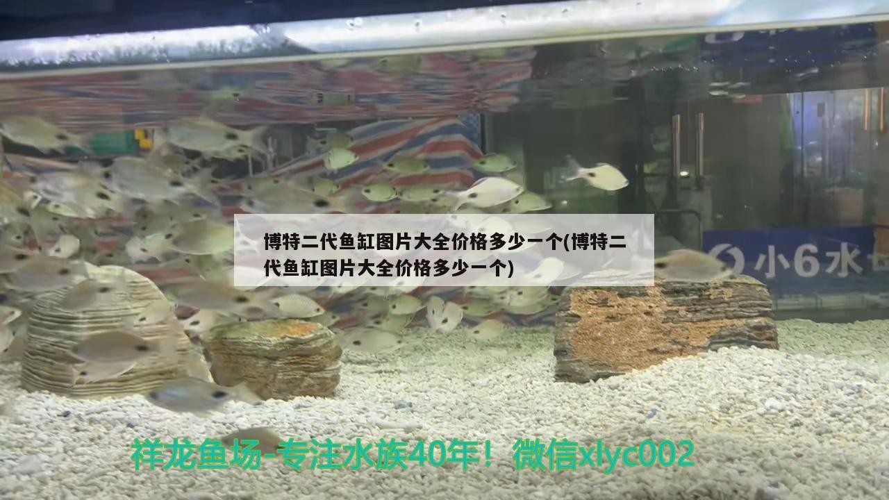 博特二代魚缸圖片大全價格多少一個(博特二代魚缸圖片大全價格多少一個)