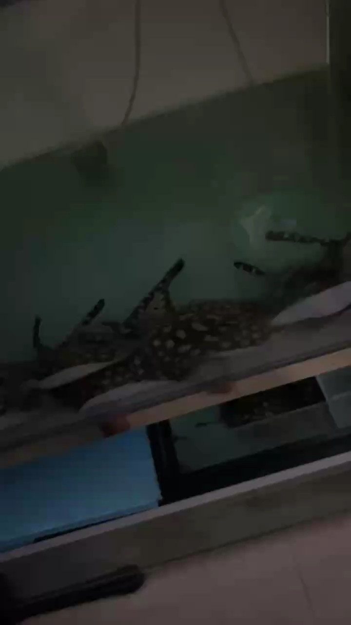 狀態決定健康