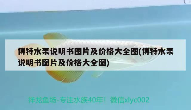 博特水泵說明書圖片及價格大全圖(博特水泵說明書圖片及價格大全圖)