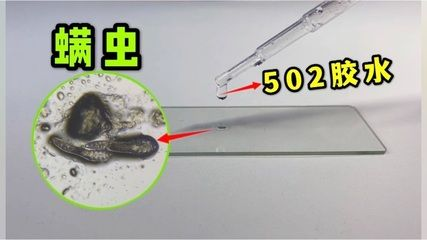 5米超大魚缸制作方法：5米超大魚缸制作技巧5米超大魚缸人工呼吸1.超大魚缸