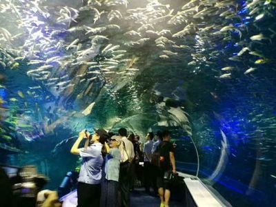 包頭水族館vs祥龍魚場（包頭水族館與祥龍魚場各有特色）