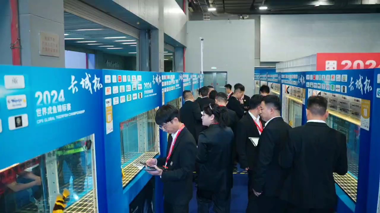 比賽之路上，勇者無懼；勵志之光下，成功在望。
