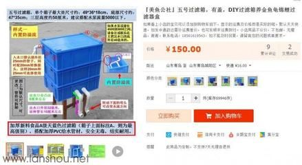 50厘米的魚缸能養幾條小錦鯉：50厘米的魚缸能否養錦鯉以及能養多少條