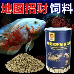 龍魚可以吃飼料嗎vs祥龍魚場:龍魚可以吃飼料嗎 vs祥龍魚場 第2張 龍魚可以吃飼料嗎vs祥龍魚場:龍魚可以吃飼料嗎 龍魚可以吃飼料嗎vs祥龍魚場:龍魚可以吃飼料嗎 vs祥龍魚場 第2張
