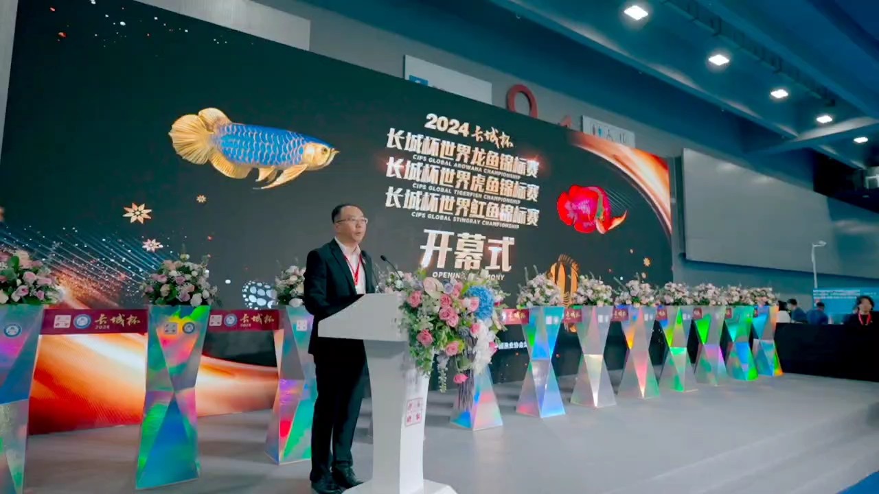 巔峰對決，熱血燃燒！問鼎巔峰，無冕之王 2024年9月11日下午一點進行頒獎，誠邀大家蒞臨，共同為獲獎者喝彩??