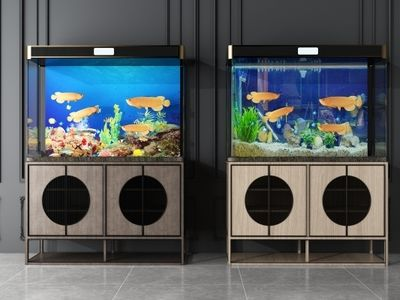 18cm長的銀龍魚要多大的魚缸合適養：18cm長的銀龍魚要多大的魚缸合適養殖銀龍魚