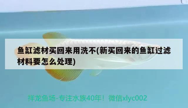 關(guān)于60厘米長(zhǎng)的魚(yú)缸多高合適的信息