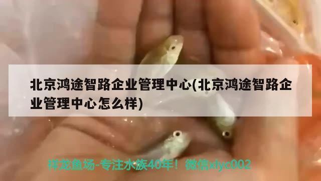 北京鴻途智路企業管理中心(北京鴻途智路企業管理中心怎么樣)