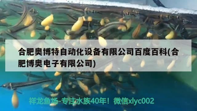 合肥奧博特自動化設備有限公司百度百科(合肥博奧電子有限公司)