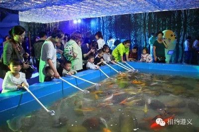 遵義水族館vs祥龍魚場（遵義水族館和祥龍魚場各有特點，選擇哪一個取決于你的具體需求）
