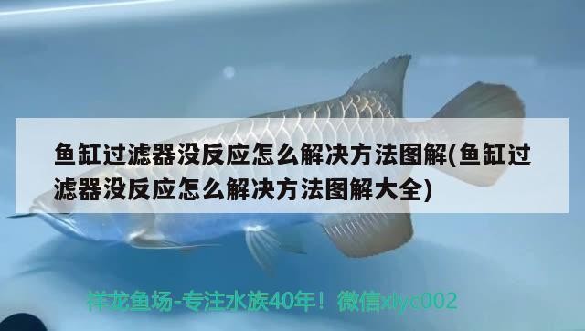 創寧變頻水泵評測（創寧變頻水泵評測視頻）