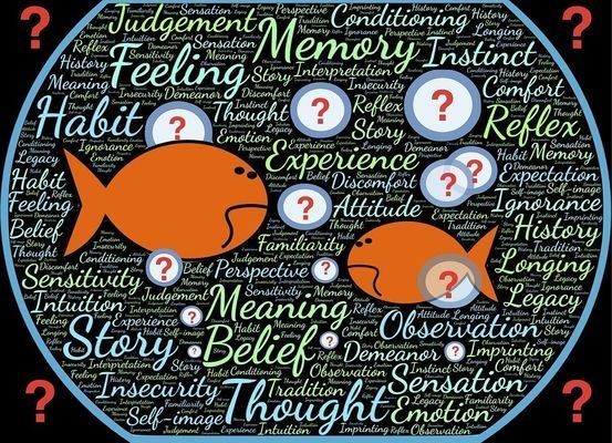 龍魚鱗片有點鼓起vs祥龍魚場：祥龍魚場的評價龍魚常見疾病及防治