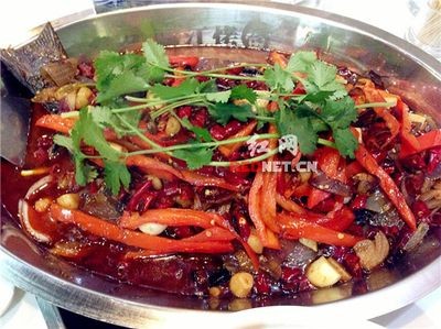 麗江龍魚vs祥龍魚場（麗江龍魚與祥龍魚場）