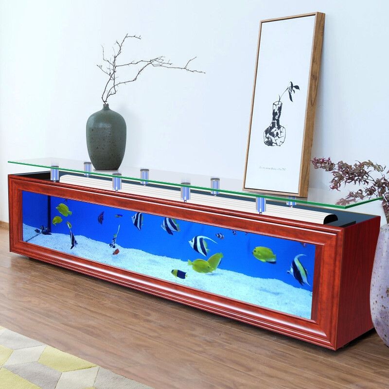 8cm的魚用多大魚缸：養魚的魚缸大小取決于魚的大小和數量