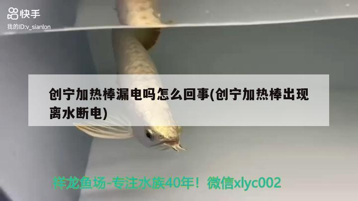 創寧加熱棒漏電嗎怎么回事(創寧加熱棒出現離水斷電)