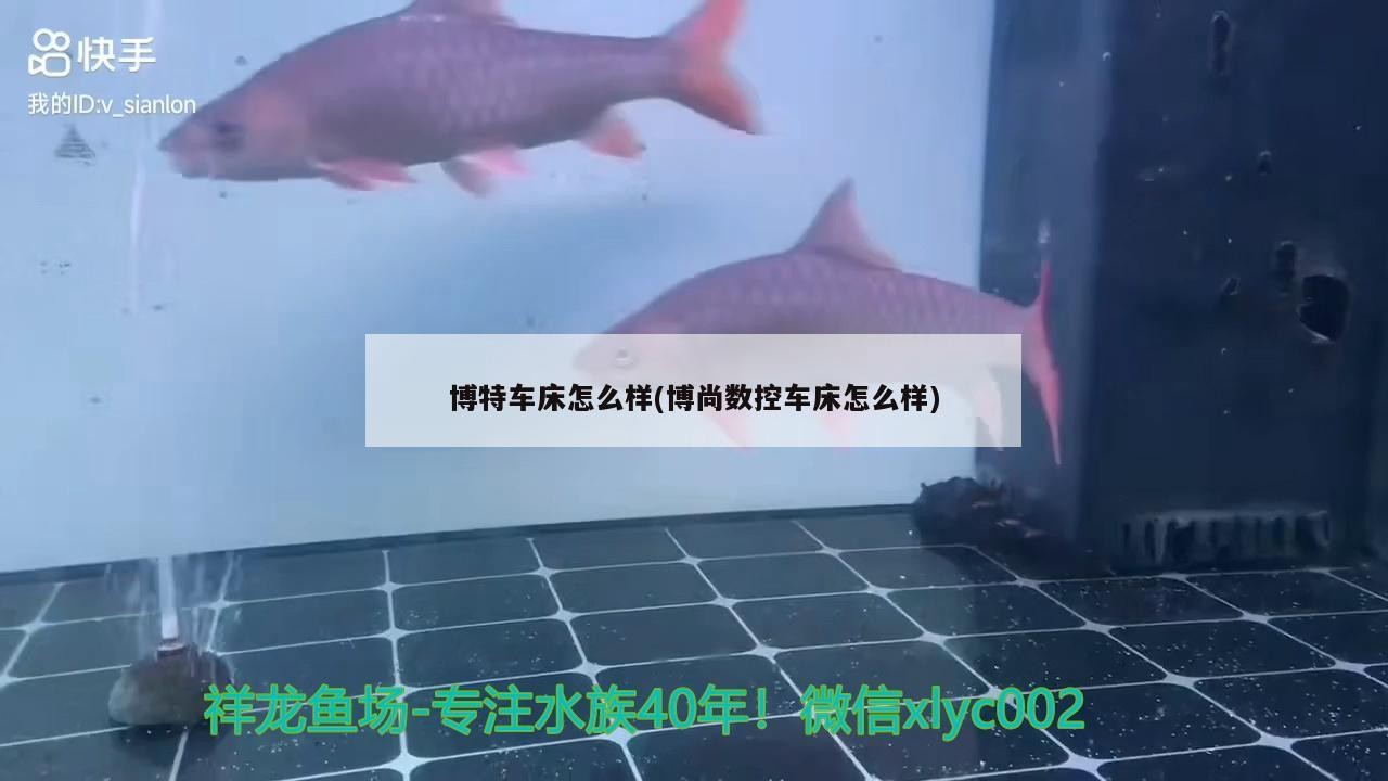博特車床怎么樣(博尚數控車床怎么樣)