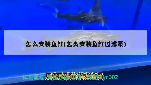<strong><mark>杭州</mark></strong>蕭山天梭漁具店