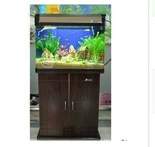 60公分魚缸用什么過濾：60公分的魚缸該如何選擇合適的過濾器？