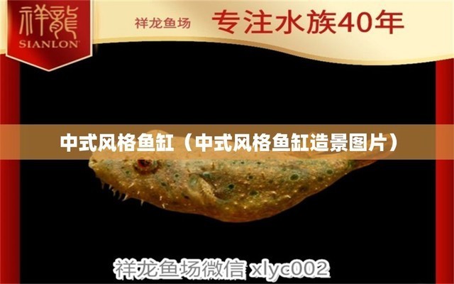 哪些觀賞魚自愈能力較強，自愈能力較強的幾類觀賞魚