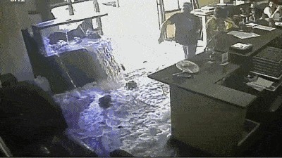 大型魚缸壽命：大型魚缸的壽命與其材質、維護情況以及使用環境等因素密切相關