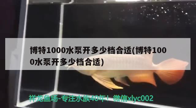 博特1000水泵開(kāi)多少檔合適(博特1000水泵開(kāi)多少檔合適)