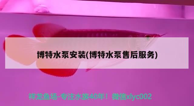 博特水泵安裝(博特水泵售后服務)
