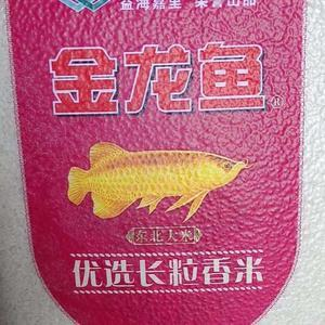 創寧加熱棒是哪里生產的（創寧加熱棒是哪里生產的啊）
