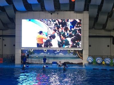 合肥水族館vs祥龍魚場（合肥水族館與祥龍魚場的區別）