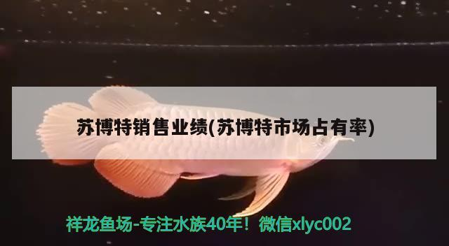 蘇博特銷售業績(蘇博特市場占有率)
