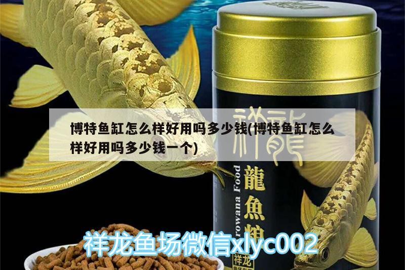 博特魚缸怎么樣好用嗎多少錢(博特魚缸怎么樣好用嗎多少錢一個(gè))