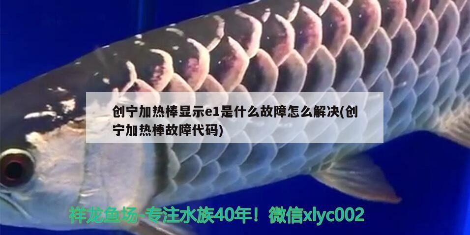 創(chuàng)寧加熱棒顯示e1是什么故障怎么解決(創(chuàng)寧加熱棒故障代碼)