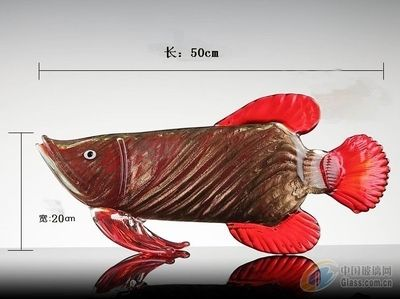 商丘龍魚(yú)vs祥龍魚(yú)場(chǎng)（商丘龍魚(yú)批發(fā)市場(chǎng)與祥龍魚(yú)場(chǎng)各有千秋）