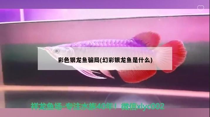 遂寧魚缸批發在哪個位置好點（遂寧魚缸批發在哪個位置好點呢）