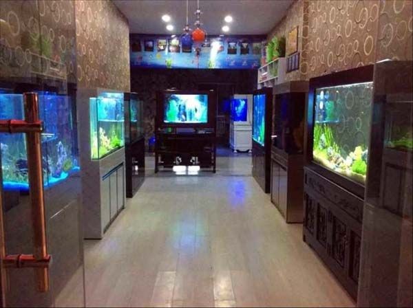 奧麗瑞斯魚缸價格：奧麗瑞斯魚缸價格因型號、尺寸、功能以及是否定制而異