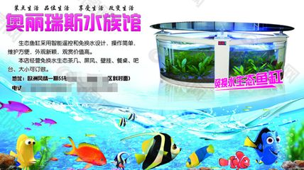 奧麗瑞斯魚缸價格：奧麗瑞斯魚缸價格因型號、尺寸、功能以及是否定制而異