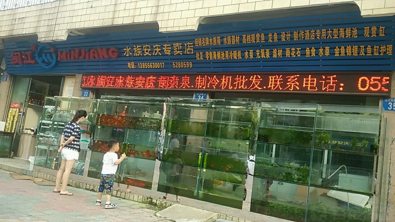 安慶龍魚vs祥龍魚場（安慶龍魚與祥龍魚場之間的對比）