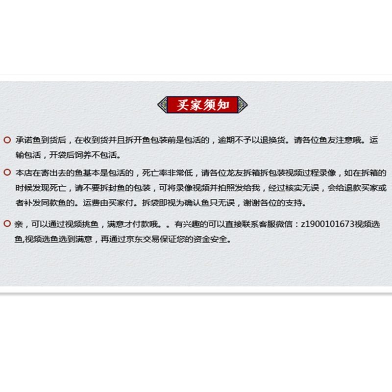 紅龍魚編號(hào)查詢：如何查詢紅龍魚編號(hào)