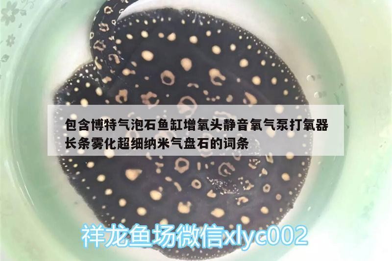包含博特氣泡石魚缸增氧頭靜音氧氣泵打氧器長條霧化超細納米氣盤石的詞條