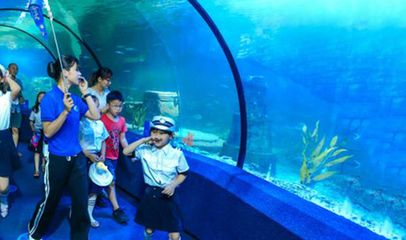 惠州水族館vs祥龍魚場（惠州水族館與祥龍魚場之間的區別）