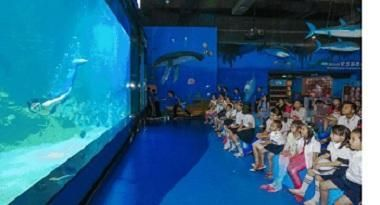 惠州水族館vs祥龍魚場（惠州水族館與祥龍魚場之間的區別）
