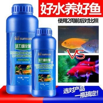 森森的硝化細(xì)菌怎么樣