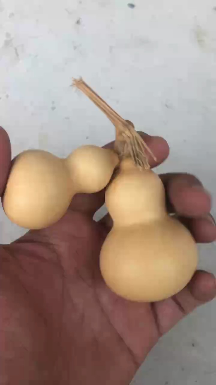 小小連體