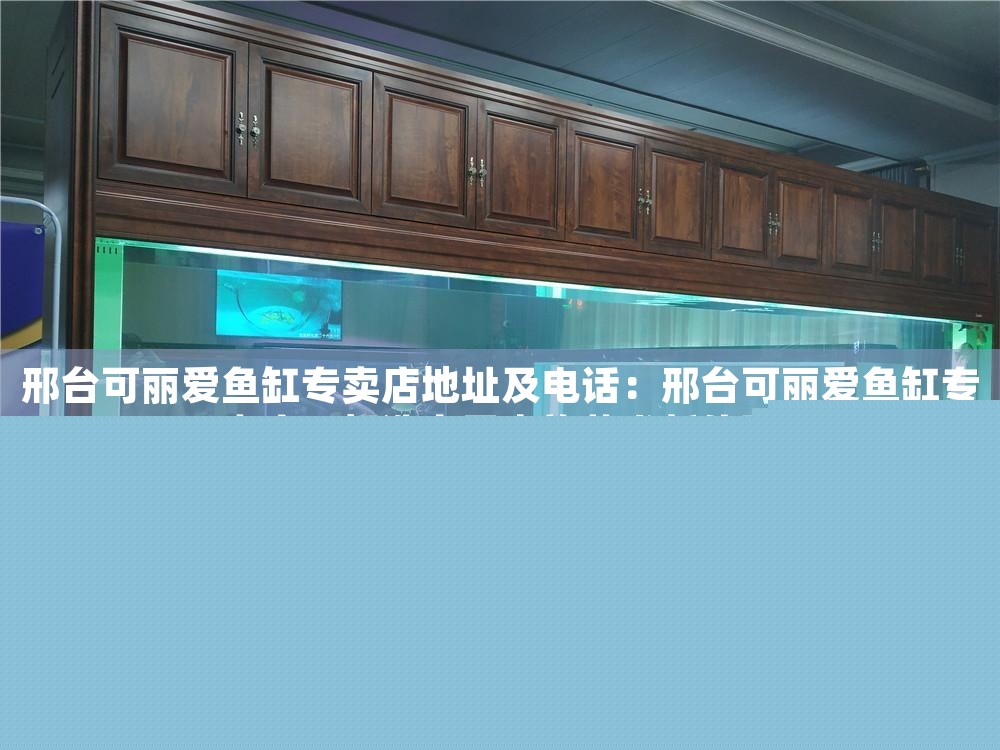 邢臺可麗愛魚缸專賣店地址及電話：邢臺可麗愛魚缸專賣店，打造家居水族藝術新體驗