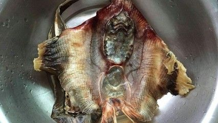 赤焰中國虎魚的市場價格是多少?,石斑魚與觀賞虎魚的價格對照表,幫你區分食用與收藏價值 龍魚百科 第1張 赤焰中國虎魚的市場價格是多少?,石斑魚與觀賞虎魚的價格對照表,幫你區分食用與收藏價值 赤焰中國虎魚的市場價格是多少?,石斑魚與觀賞虎魚的價格對照表,幫你區分食用與收藏價值 龍魚百科 第1張