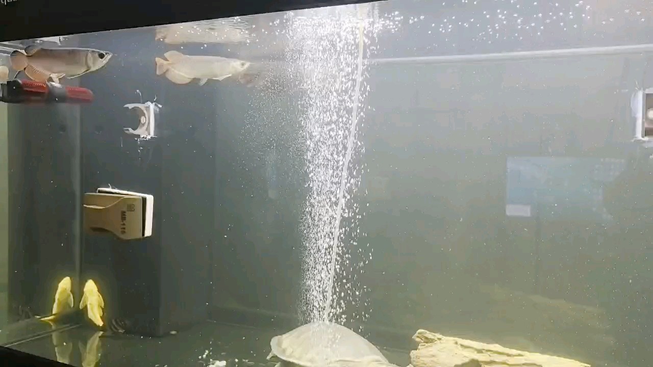 狀態嘎嘎滴