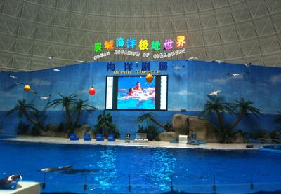 德州水族館vs祥龍魚場（德州水族館與祥龍魚場的區別）